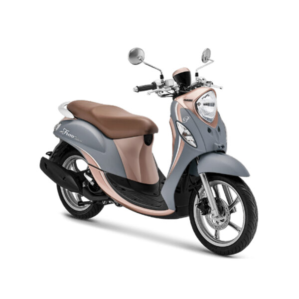 FINO PREMIUM - Image 2